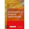 Electrochemistry Of Flotation Of Sulphide Minerals door Yuehua Hu
