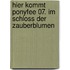 Hier kommt Ponyfee 07. Im Schloss der Zauberblumen