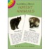 Learning about Forest Animals [With 12 Full-Color]