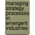 Managing Strategy Processes In Emergent Industries