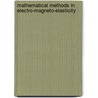 Mathematical Methods In Electro-Magneto-Elasticity door M.L. Filshtinsky