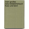 Mein großes Natur-Bildwörterbuch Fluss und Teich by Unknown