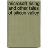 Microsoft Rising And Other Tales Of Silicon Valley by Ted Lewis