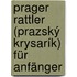 Prager Rattler (Prazský krysarík) für Anfänger