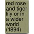 Red Rose And Tiger Lily Or In A Wider World (1894)