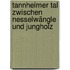 Tannheimer Tal zwischen Nesselwängle und Jungholz