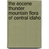 The Eocene Thunder Mountain Flora Of Central Idaho