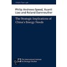 The Strategic Implications Of China's Energy Needs door Roland Dannreuther