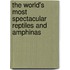 The World's Most Spectacular Reptiles and Amphinas