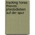 Tracking Horse Thieves - Pferdedieben auf der Spur