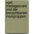 Vgel Madagascars Und Der Benachbarten Inselgruppen
