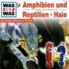 Was Ist Was 03. Amphibien Und Reptilien / Haie. Cd door Onbekend