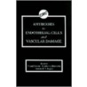 Antibodies to Endothelial Cells and Vascular Damage by Ricard Cervera
