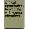 Clinical Approaches to Working with Young Offenders by John Ed. Howells