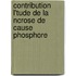Contribution L'Tude de La Ncrose de Cause Phosphore