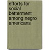 Efforts For Social Betterment Among Negro Americans door William Edward Burghardt Dubois