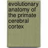 Evolutionary Anatomy of the Primate Cerebral Cortex door Onbekend