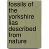 Fossils Of The Yorkshire Lias Described From Nature by Professor M. Simpson