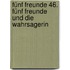 Fünf Freunde 46. Fünf Freunde und die Wahrsagerin