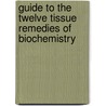 Guide to the Twelve Tissue Remedies of Biochemistry door Edward Pollock Anshutz