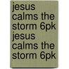 Jesus Calms the Storm 6pk Jesus Calms the Storm 6pk door Arch Books