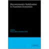 Macroeconomic Stabilization in Transition Economies door Onbekend