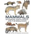 Mammals Of Europe, North Africa And The Middle East