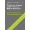 Nonlinear Analysis And Semilinear Elliptic Problems door Malchiodi