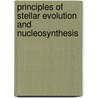 Principles Of Stellar Evolution And Nucleosynthesis door Rod Clayton