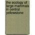 The Ecology Of Large Mammals In Central Yellowstone