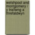 Welshpool And Montgomery / Y Trallwng A Threfaldwyn