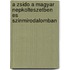 A Zsido A Magyar Nepkolteszetben Es Szinmirodalomban