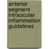 Anterior Segment Intraocular Inflammation Guidelines