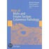 Atlas Of Mohs And Frozen Section Cutaneous Pathology