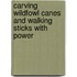 Carving Wildfowl Canes And Walking Sticks With Power