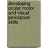 Developing Ocular Motor and Visual Perceptual Skills