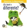 Es Igual O Diferente? = Is It the Same or Different? by Bobbie Kalman