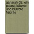 Ganarah 02. Ein Palast, Bäume und blutrote Früchte