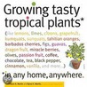 Growing Tasty Tropical Plants, In Any Home, Anywhere door Laurelynn Martin