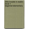 Little Trouble In Dublin Level 1 Beginner/Elementary door Richard MacAndrew
