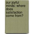 Our Joyful Minds: Where Does Satisfaction Come From?