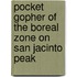 Pocket Gopher of the Boreal Zone on San Jacinto Peak