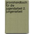 Praxishandbuch für die Jugendarbeit 2. Jungenarbeit
