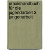 Praxishandbuch für die Jugendarbeit 2. Jungenarbeit door Uwe Sielert