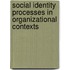 Social Identity Processes In Organizational Contexts