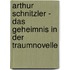Arthur Schnitzler - Das Geheimnis in der Traumnovelle