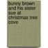 Bunny Brown and His Sister Sue at Christmas Tree Cove