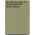 Die Glamour Girls von Chestnut Hall 04. Rache-Attacke