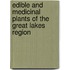Edible and Medicinal Plants of the Great Lakes Region