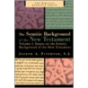 Essays On The Semitic Background Of The New Testament door Joseph A. Fitzmyer